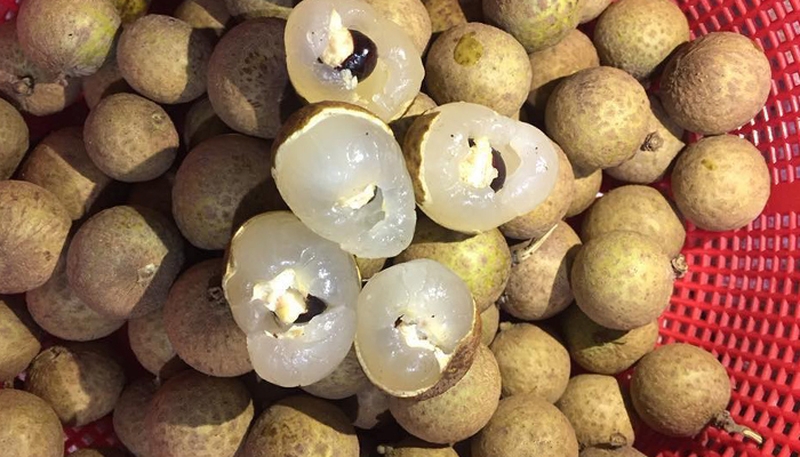 Nhãn bao nhiêu calo?