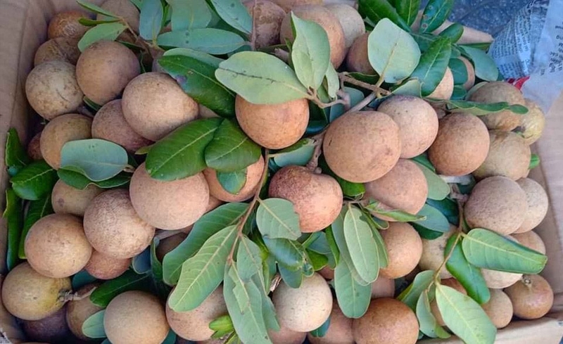 Ăn nhãn có gây nóng cơ thể không?