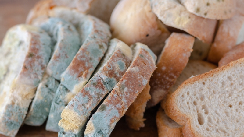 Nhận biết 4 nguyên nhân gây ngộ độc thực phẩm thường gặp 2