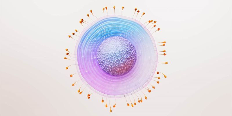 Dấu hiệu nhận biết bệnh giời leo và cách chữa đơn giản bằng hồ nước 1