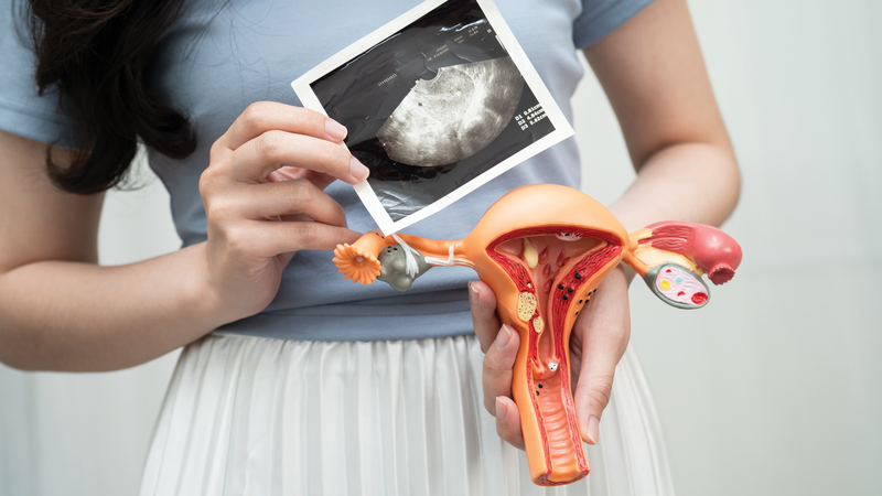 Phôi thường bắt đầu làm tổ trong 1 - 3 ngày sau khi chuyển vào tử cung