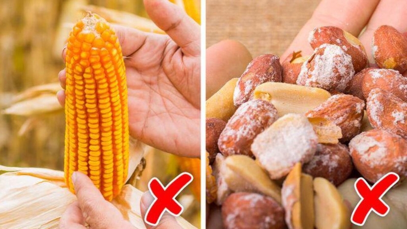 Nhận biết kịp thời những biểu hiện ngộ độc thực phẩm 1