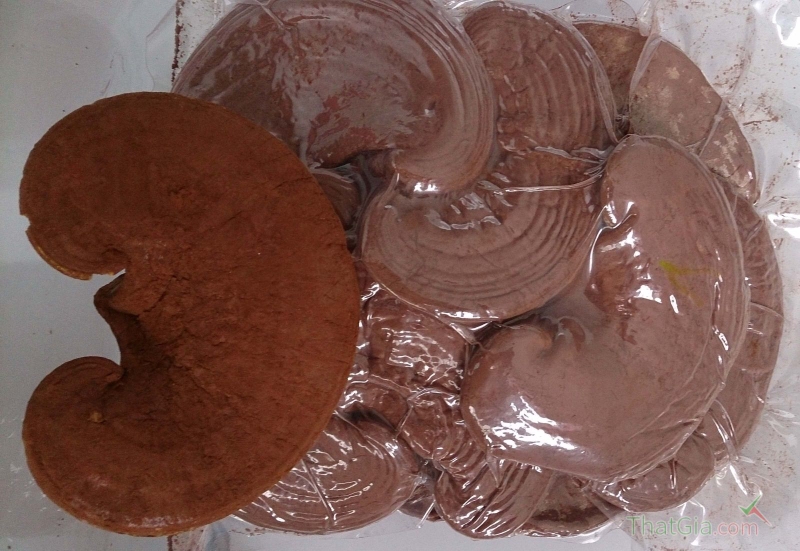 cach-bao-quan-nam-linh-chi-dung-cach-de-su-dung-duoc-lau