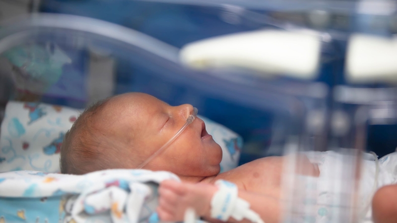 Tụ máu não ở trẻ có thể do nhiều nguyên nhân, trong đó trẻ sinh non dưới 32 tuần hoặc nặng dưới 1,5 kg có nguy cơ cao bị xuất huyết não thất