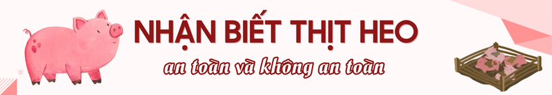Nhận biết thịt heo an toàn và không an toàn