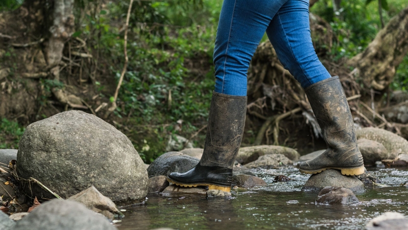 Nhận biết vết rắn cắn, triệu chứng và cách xử trí ngay lập tức 4