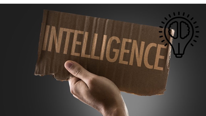 nhan-dien-ngay-day-la-nhung-bieu-hien-cua-nguoi-co-tri-tue-vuot-troi 4