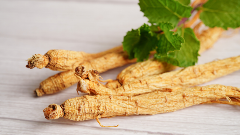 nhan-sam-ky-gi-nhung-nguoi-nen-than-trong-khi-su-dung-nhan-sam (1).png