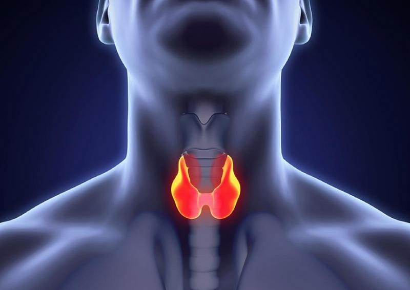 Nhân tuyến giáp 4mm có nguy hiểm không? -1