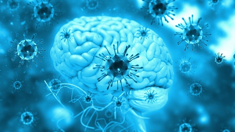 Nhiễm Arbovirus là gì? Những vấn đề cần biết về Nhiễm Arbovirus 2.jpg