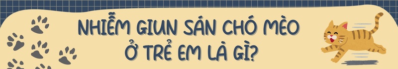 Nhiễm giun sán chó mèo ở trẻ em là gì?