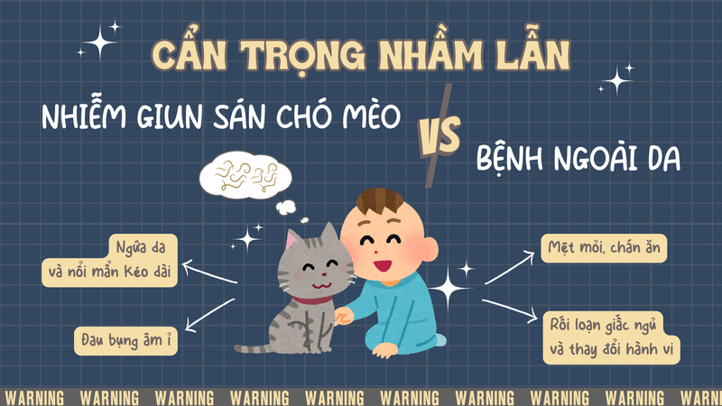 Nhiễm giun sán chó mèo ở trẻ em: Nhận biết thế nào? Phòng ngừa ra sao? 2