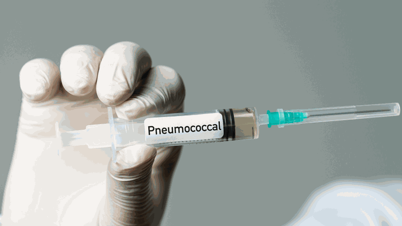 Nhiễm khuẩn huyết do phế cầu là gì? Những thông tin cần biết 4