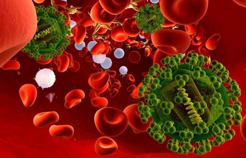 Nhiễm khuẩn máu ở trẻ em: Nguyên nhân và biểu hiện 2