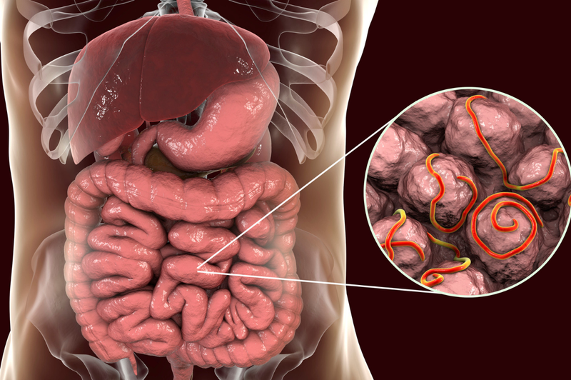 Nhiễm khuẩn tiêu hóa: Triệu chứng, nguyên nhân và cách điều trị 1