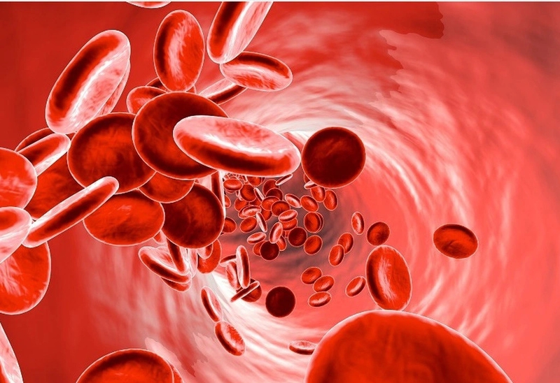 Nhiễm toan: Nguyên nhân, triệu chứng, mức độ nguy hiểm và hướng điều trị 1