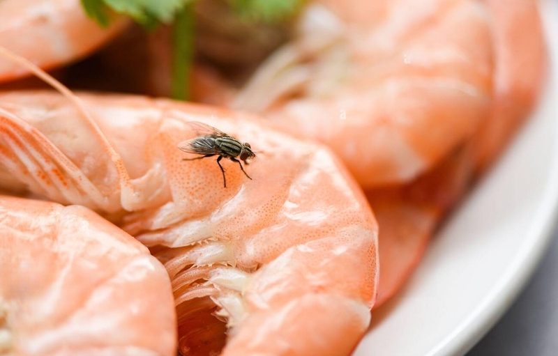 Nhiễm trùng máu kiêng ăn gì để đảm bảo sức khỏe? 2