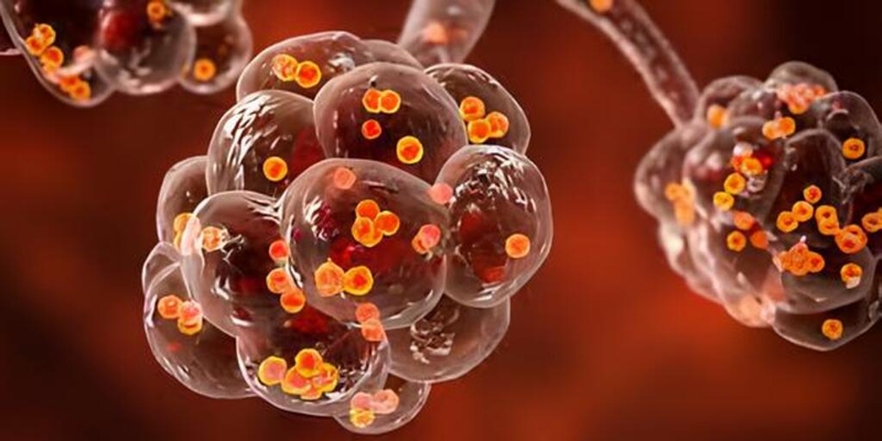 Nhiễm trùng tụ cầu có nguy hiểm không? Cách điều trị nhiễm trùng tụ cầu? 1