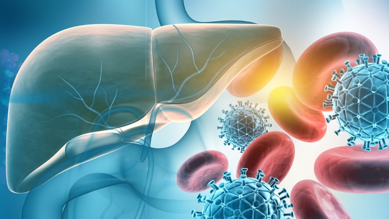 Nhiễm virus viêm gan B khi nào cần dùng thuốc? Phác đồ điều trị bệnh 2