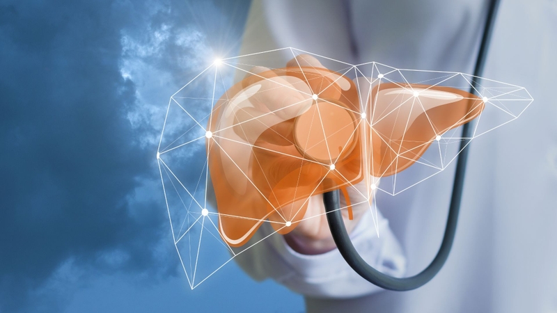 Nhiễm virus viêm gan B khi nào cần dùng thuốc? Phác đồ điều trị bệnh 4