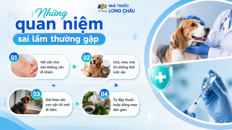 Đừng chủ quan với vết cắn nhỏ hay chó, mèo nuôi trong nhà