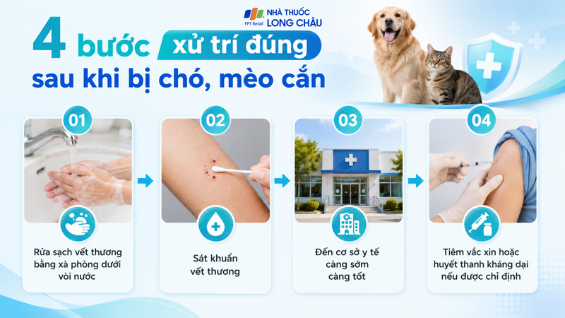 Rửa sạch vết thương và đến cơ sở y tế sớm để được đánh giá nguy cơ