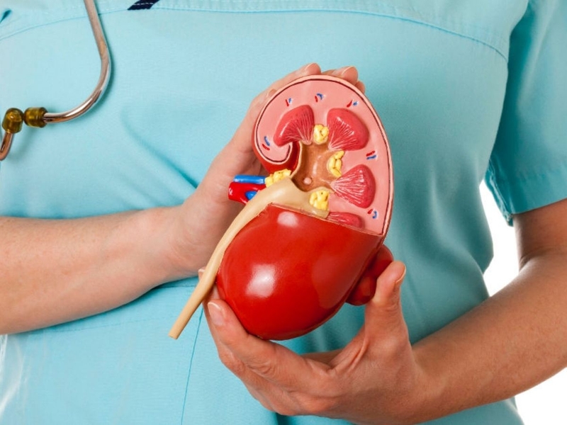 nhin-tieu-toi-da-bao-lau 4.jpg