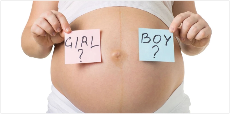 Nhịp tim thai 170 lần phút là trai hay gái? 2