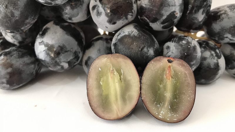 Cách bảo quản nho không hạt tươi lâu