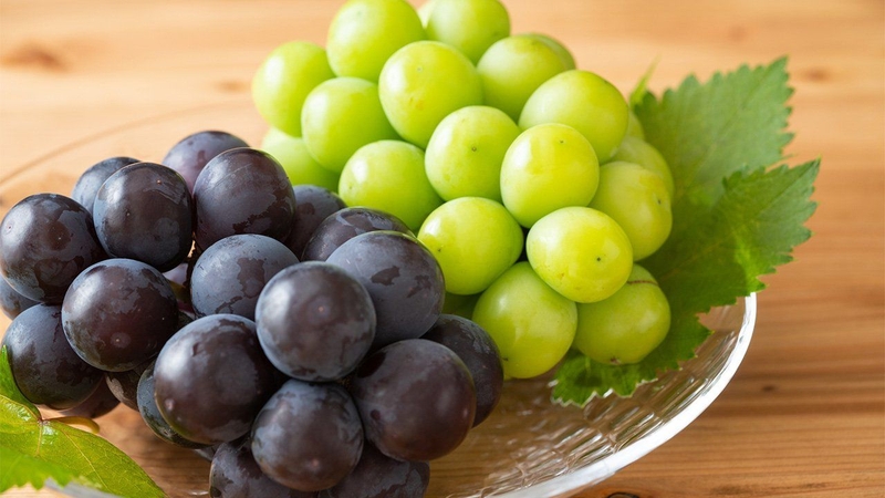 So với các loại nho khác, giống nho Kyoho giàu chất chống oxy hóa hơn