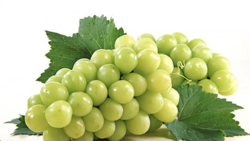 Nho mẫu đơn - Điểm danh những lợi ích "vàng" khi sử dụng 3