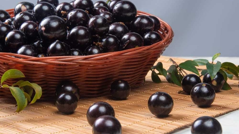 Nho thân gỗ: Giá trị dinh dưỡng và lợi ích đối với sức khỏe 2