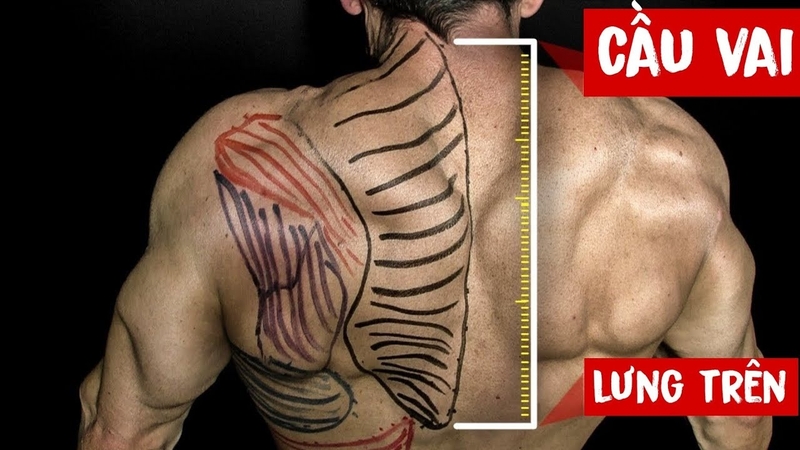 Nhóm cơ cầu vai là gì và ở vị trí nào? -1