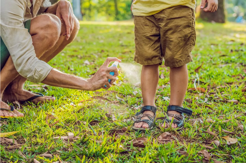 nhóm máu nào hay bị muỗi đốt 3