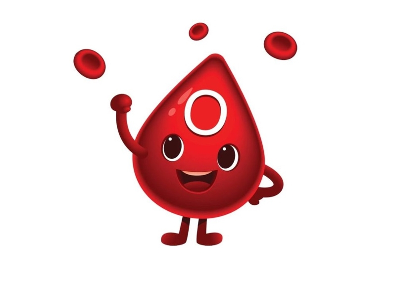 nhóm máu o nên ăn gì để tăng cân 1