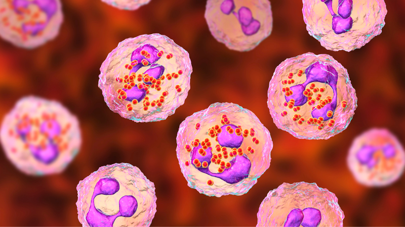 Nhóm vi khuẩn gây viêm màng não mô cầu 1