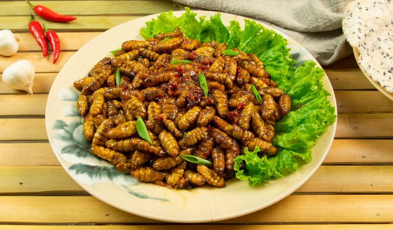 Nhộng tằm có lợi ích gì với sức khỏe? Cách ăn ngon và an toàn 3