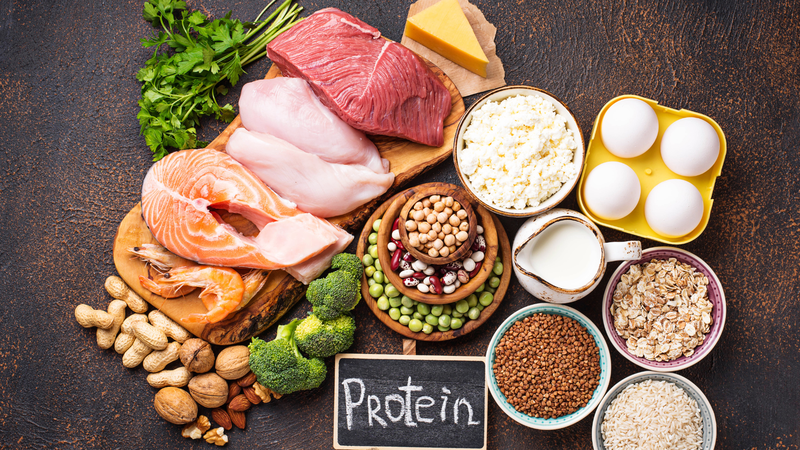 Nhu cầu protein của người trưởng thành mỗi ngày là bao nhiêu? Bổ sung như nào là hợp lý 1