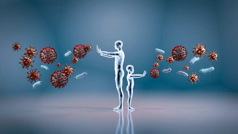 Như thế nào là đáp ứng miễn dịch? 2