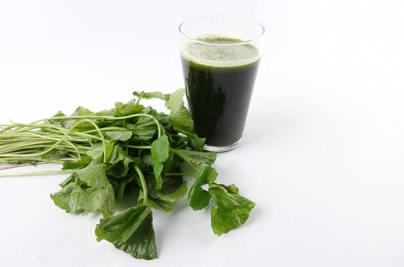 Những ai không nên uống nước rau má 4