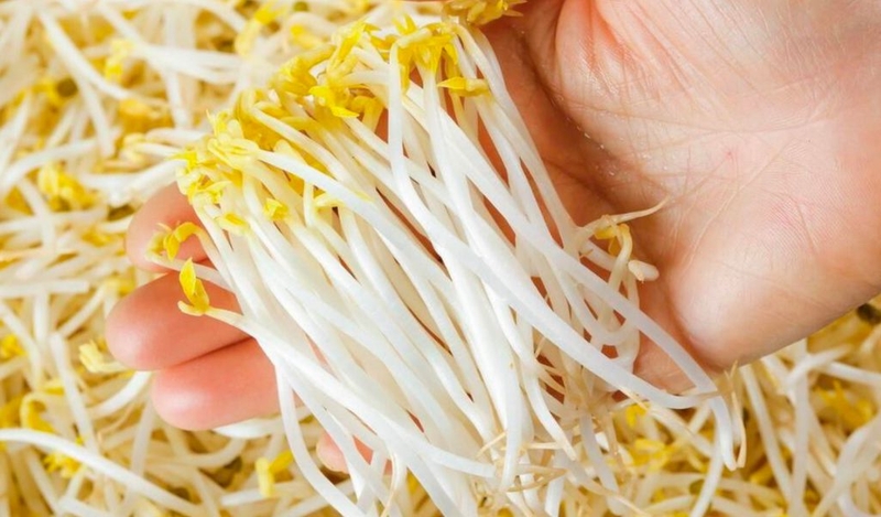 Những ai không nên ăn giá đỗ để bảo vệ sức khoẻ 1