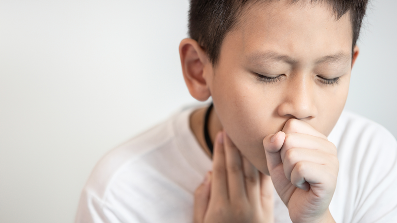 Trẻ nhỏ có nguy cơ hóc dị vật khi ăn hạt thông không đúng cách