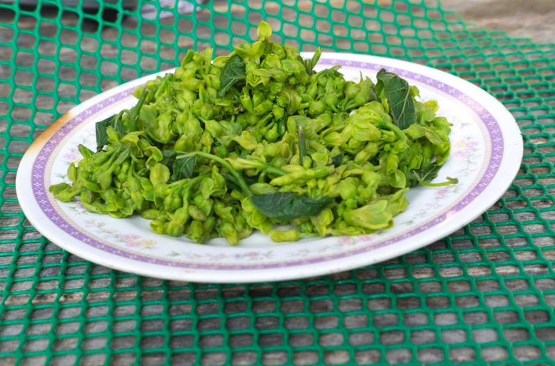 Hoa thiên lý có tác dụng gì? Những ai không nên ăn hoa thiên lý 3