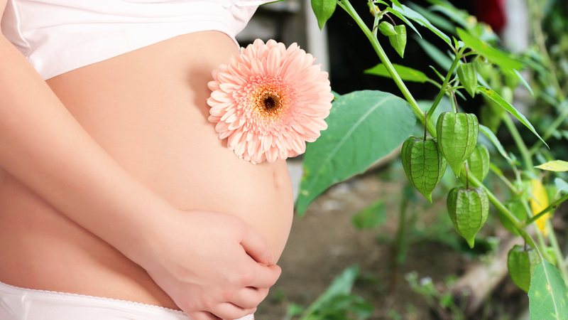 Phụ nữ mang thai cần tham khảo ý kiến của chuyên gia trước khi ăn rau tầm bóp