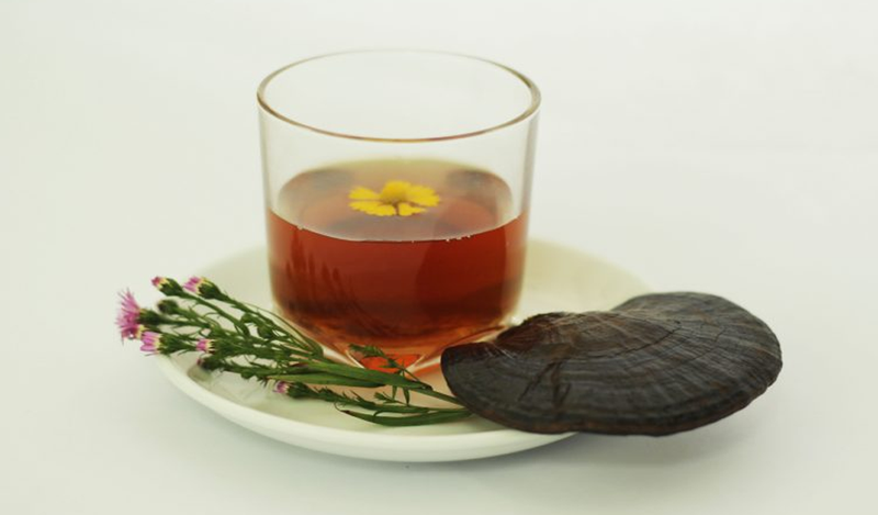 Nấm lim xanh là dược liệu có giá trị chữa bệnh tuyệt vời