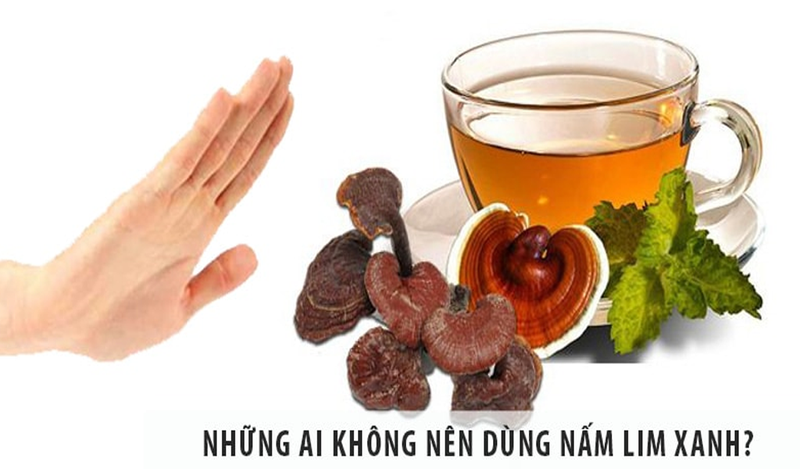 Những ai không nên dùng nấm lim xanh?