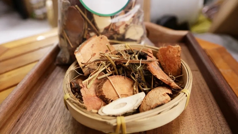 Những ai không nên uống cỏ máu? Tác dụng của cây cỏ máu 2