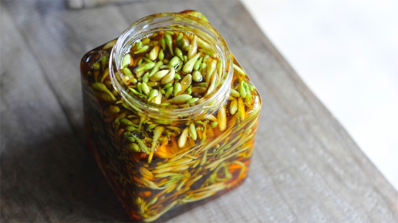 Những ai không nên uống hoa đu đủ đực ngâm mật ong và lưu ý khi sử dụng 5