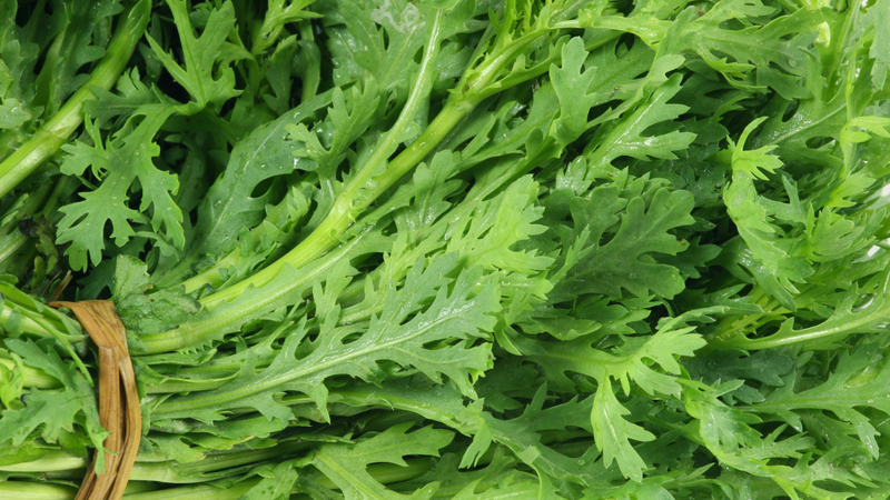 Những ai nên thường xuyên ăn rau cải cúc? 1