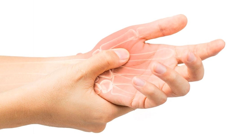 Những bài thuốc chữa bệnh từ cây hoa dẻ 2